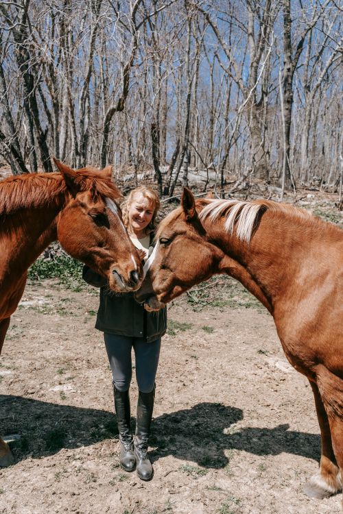Free A woman shares a moment with two horses in a sunlit forest clearing, surrounded by nature. Stock Photo
