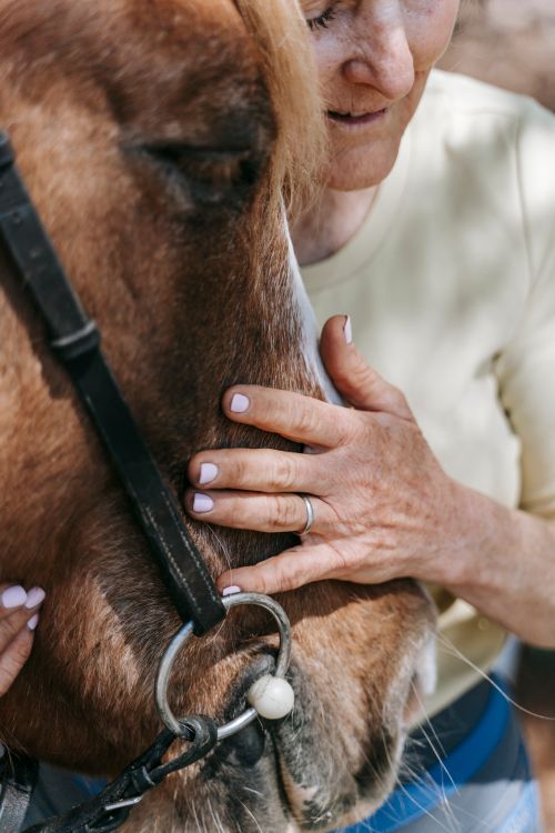 Free Close-up of a woman gently hugging a horse, showcasing a bond of trust and affection outdoors. Stock Photo