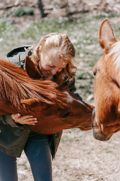 Free A joyful elderly woman smiles while hugging a brown horse in a sunny outdoor setting. Stock Photo