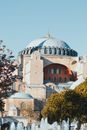 White and Brown Dome Building
