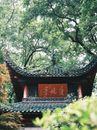 Free stock photo of ancient, changshan, flora