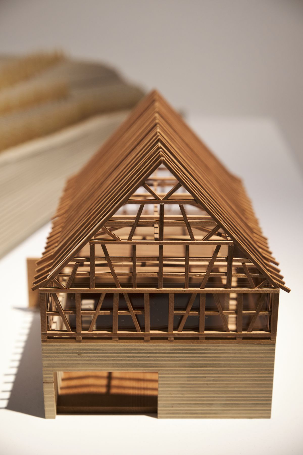 Structural timber architecture model