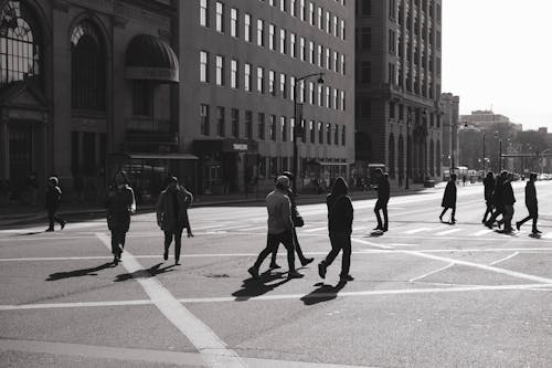Free People Walking on The Pedestrian Crossing Stock Photo