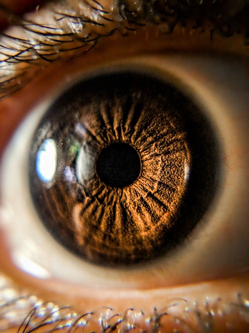 Macro Photography of an Eyeball