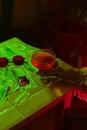 Photo of Person Holding Clear Wine Glass With Red Liquid