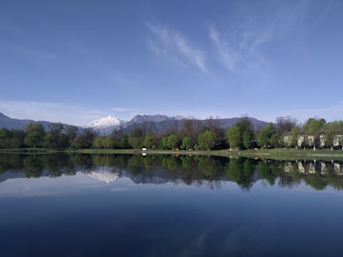 Scenic View of Trees near the Lake