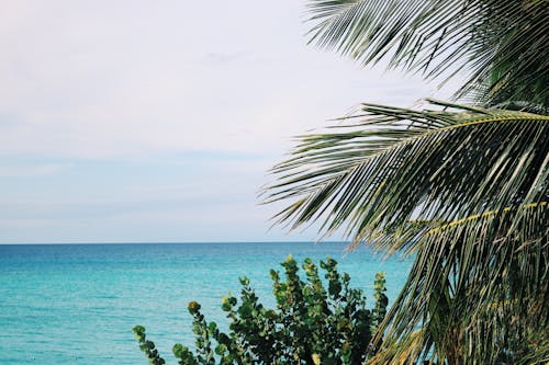 Безкоштовне стокове фото на тему «берег моря, блакитна вода, відпустка»