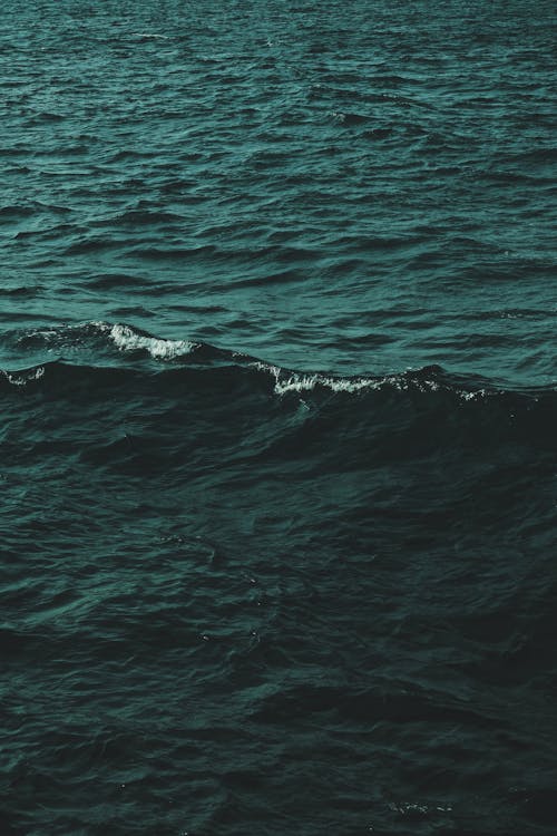 Bezpłatne Darmowe zdjęcie z galerii z fale, morze, ocean Zdjęcie z galerii