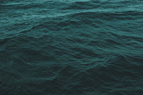 Close-Up Shot of an Ocean