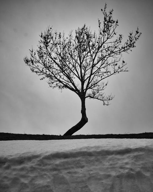 Kostnadsfri bild av analog, helt enkelt, snö