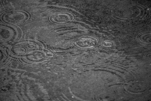 Monochrome image capturing ripples from raindrops in a puddle, creating abstract patterns.
