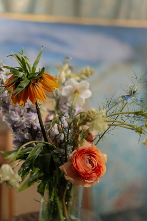 Imagine de stoc gratuită din a închide, colorat, flori