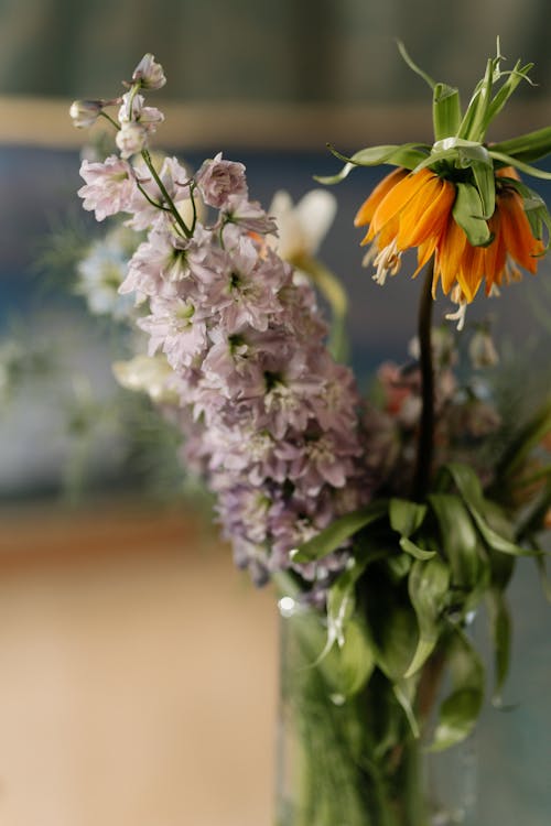 Darmowe zdjęcie z galerii z flora, kwiaty, kwitnąć