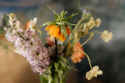 Close-up Photo of Withered Flowers