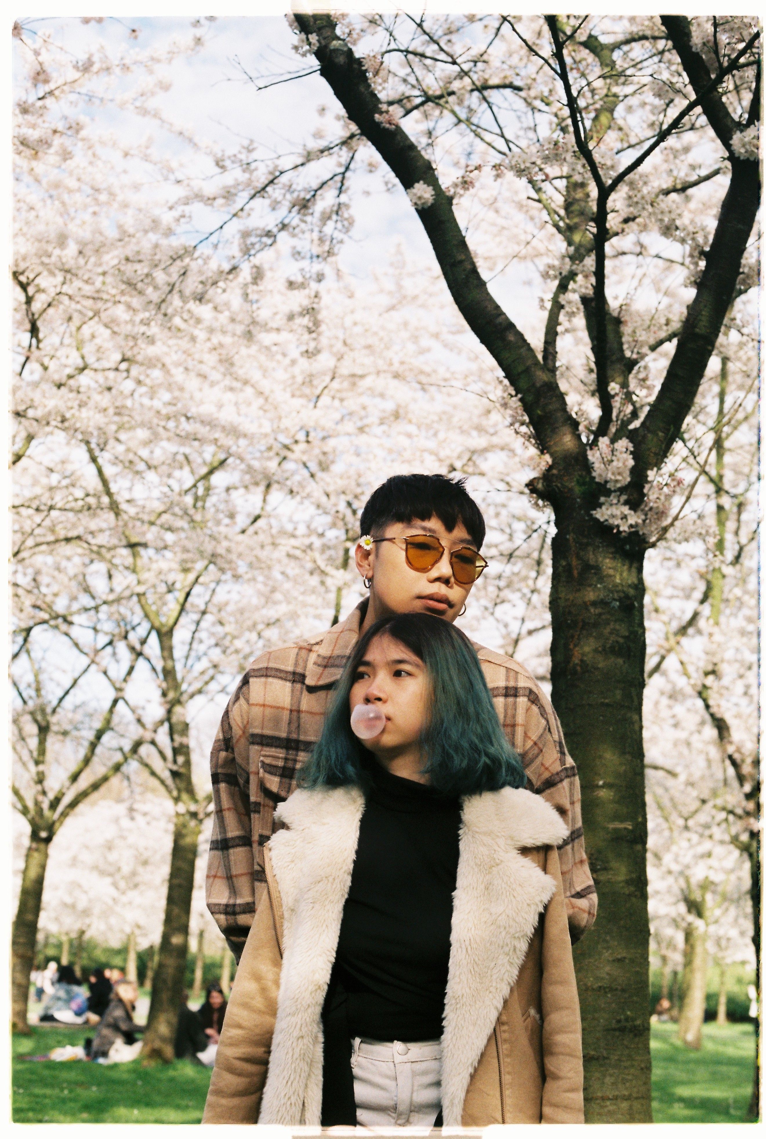Man and Girl Standing Under a Cherry Blossom Tree · Free Stock Photo