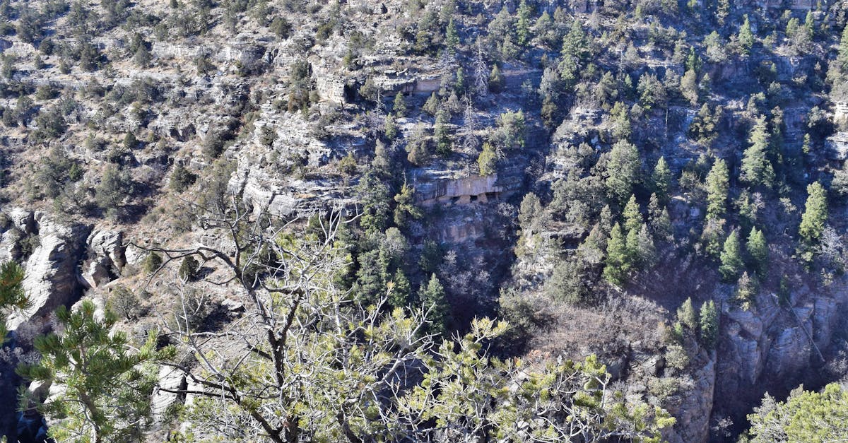 Free stock photo of mountain, tree, valley