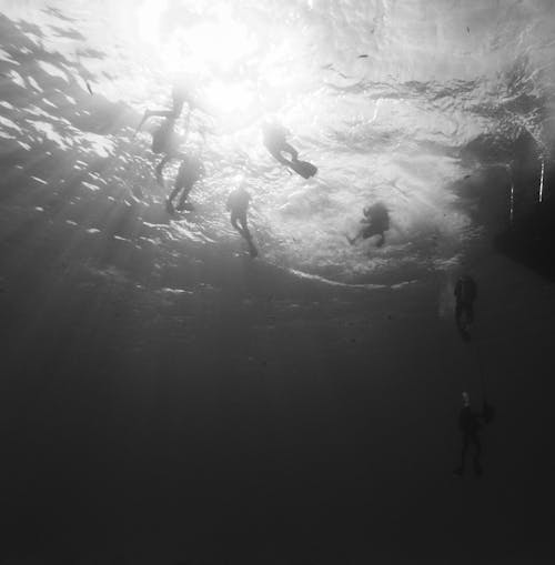 Grayscale Photo of People Underwater 