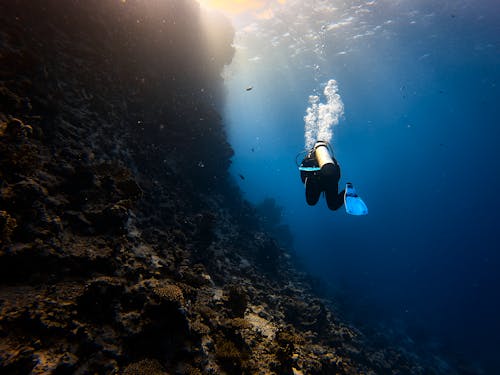 Free Man Scuba Diving Near Coral Reef  Stock Photo