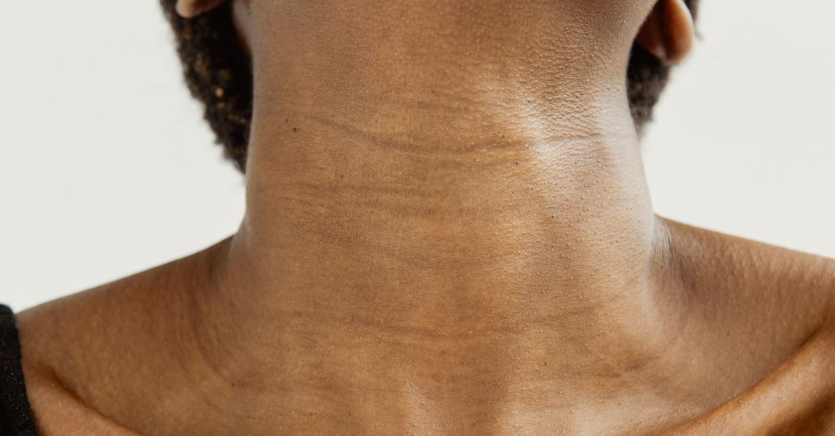 Nice Neck Close-up of the Neck · Free Stock Photo