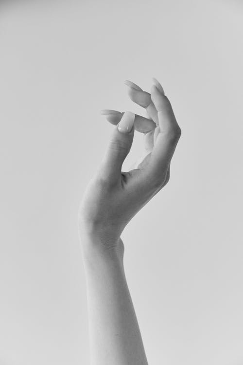 A Grayscale of a Woman's Hand