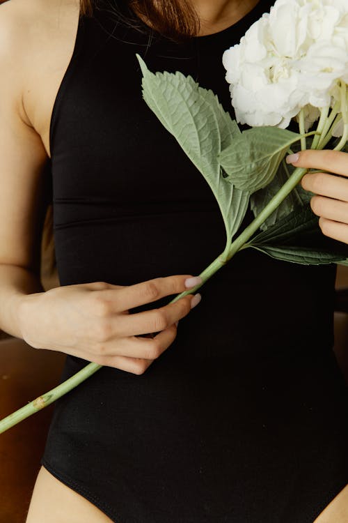 Gratis lagerfoto af hænder, holde, hvid blomst