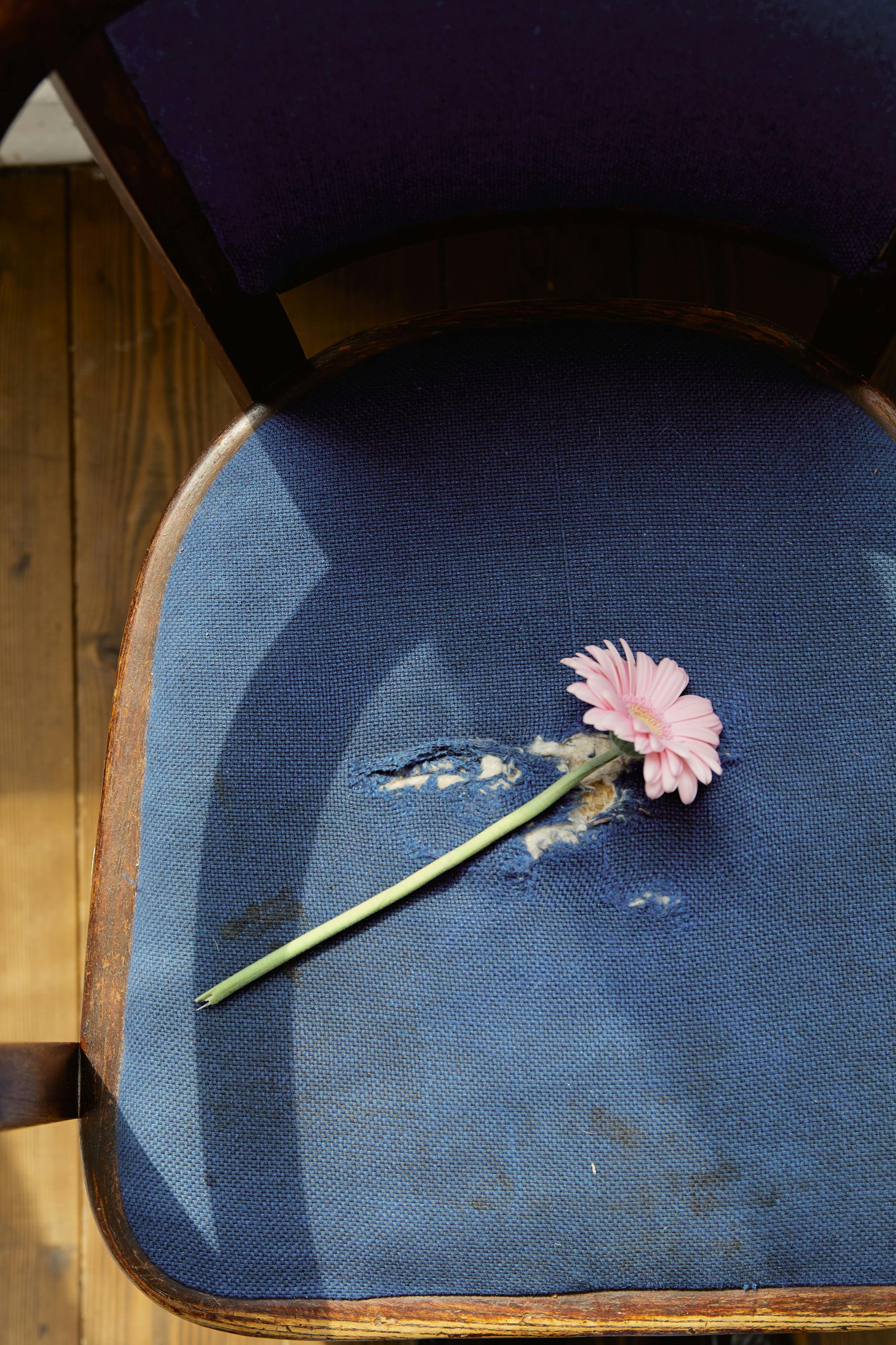 A single pink flower rests gently on a worn blue vintage chair in natural light.