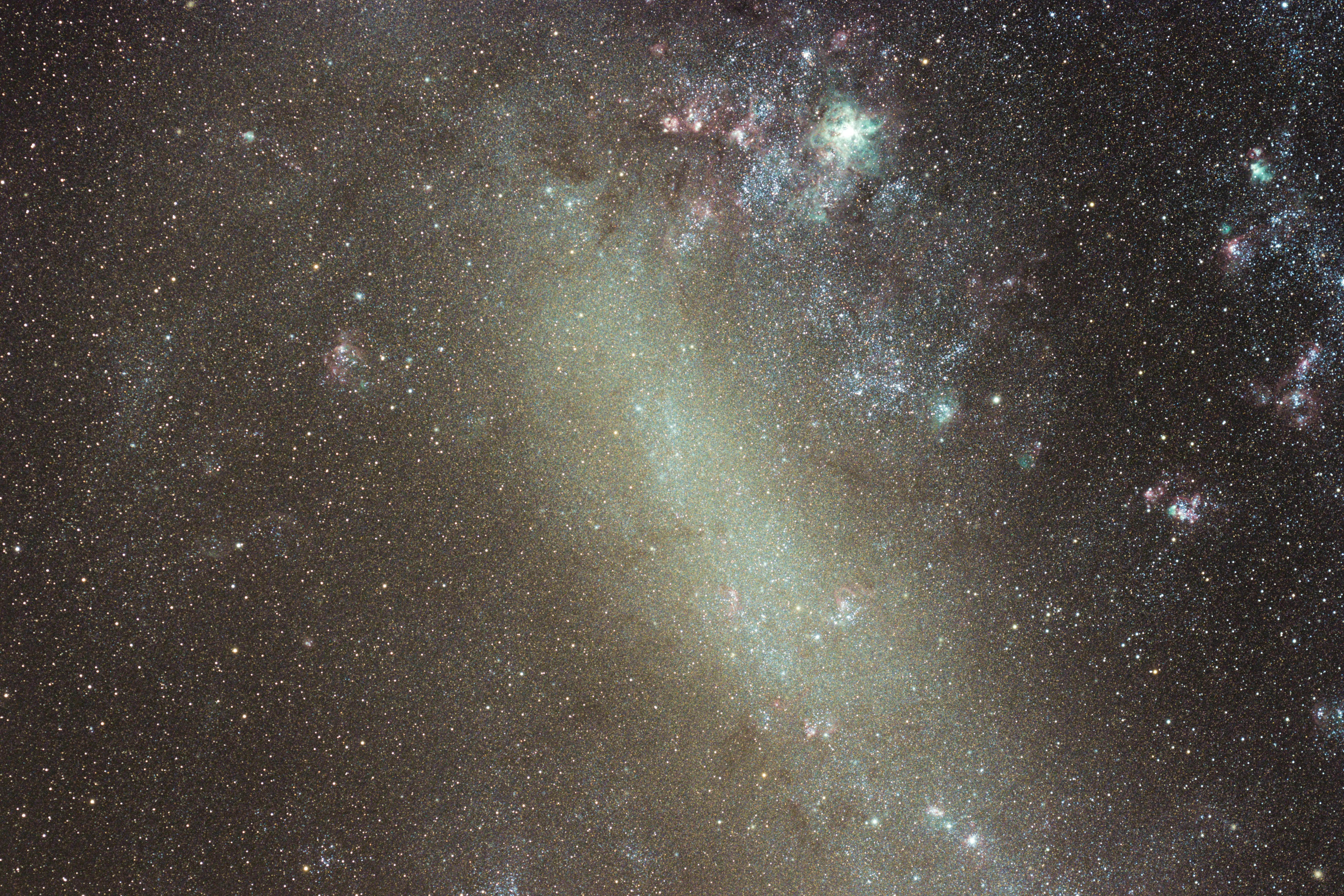 Dolphin Nebula 2024 · Free Stock Photo