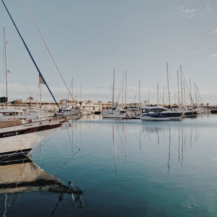 Boats Docked On Harbor