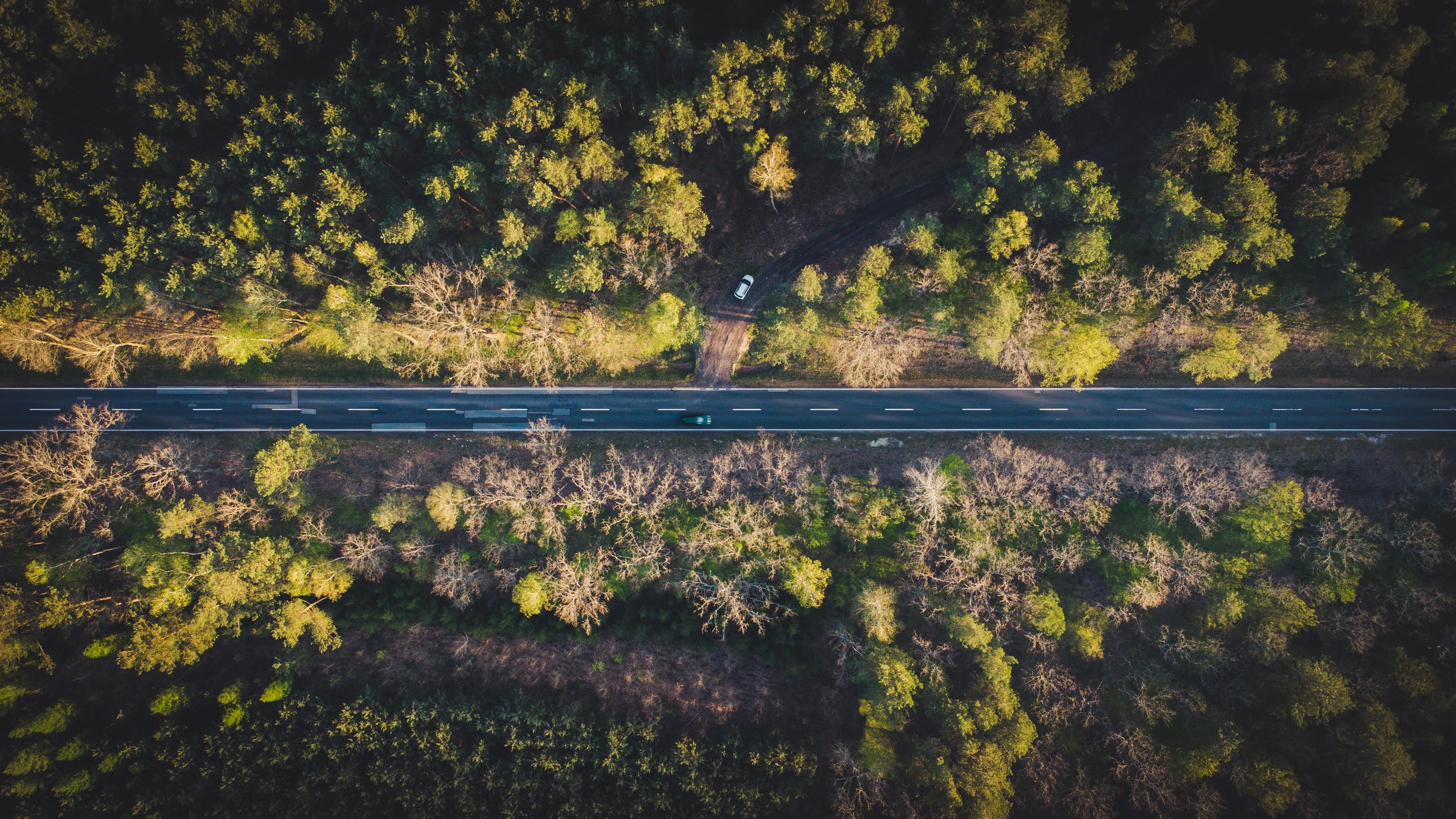 evs explained sustainability — Photo by Mikołaj Kołodziejczyk on Pexels