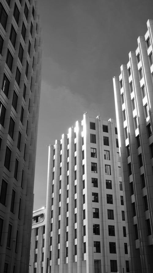 Free stock photo of building, city, monochrome