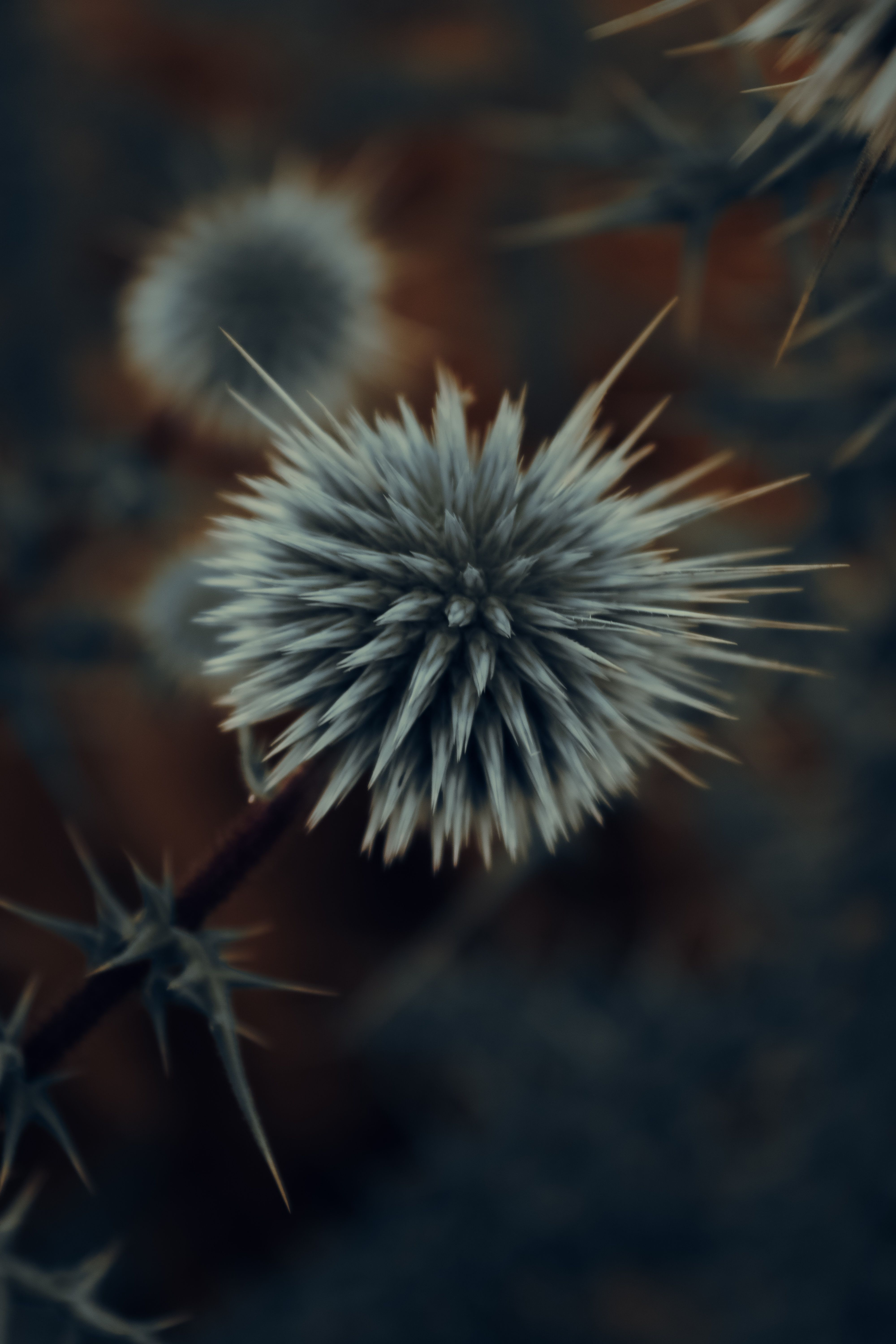 Atahan Demir · Photography