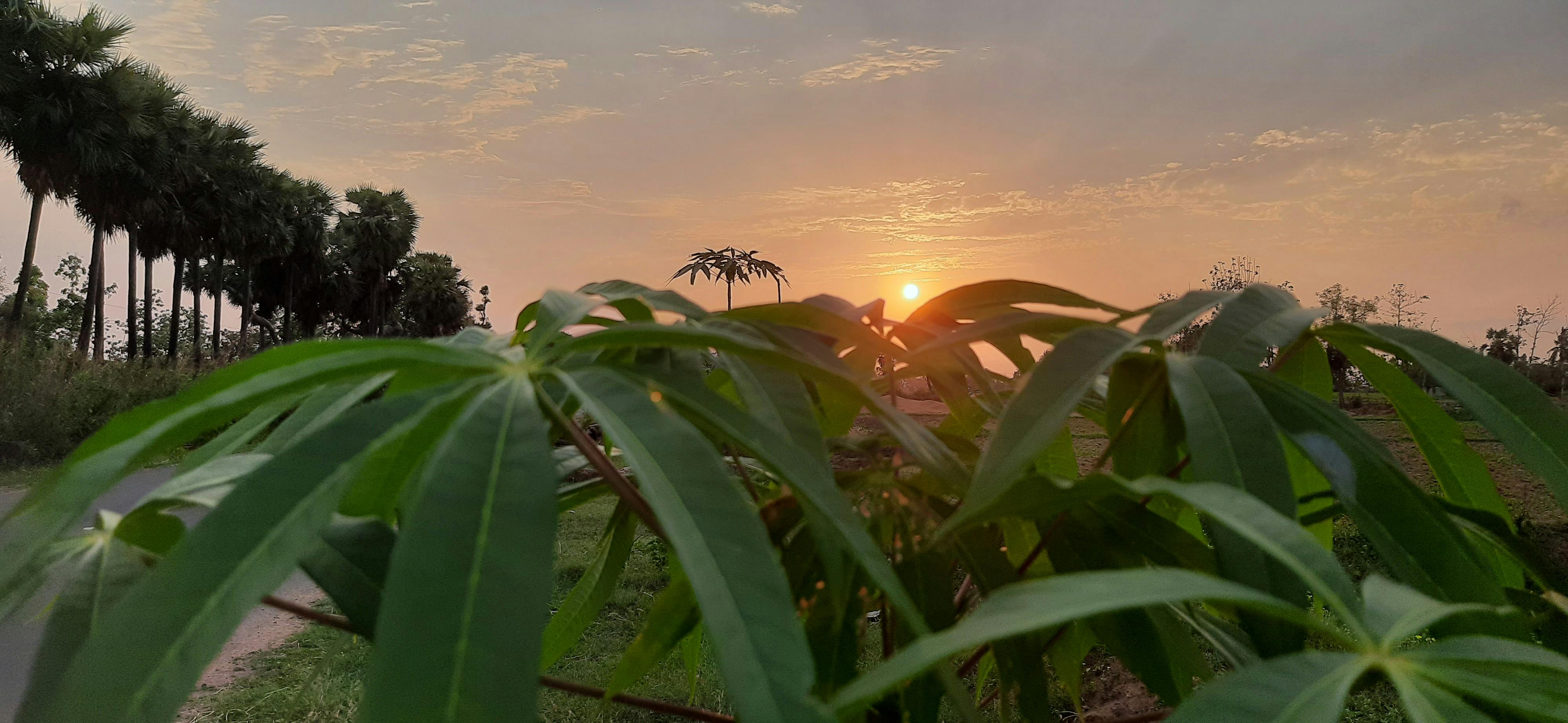 Person wearing a VR headset holding hand controllers in a living room