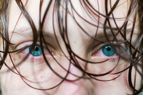 Free stock photo of beauty, blue eyes, close-up