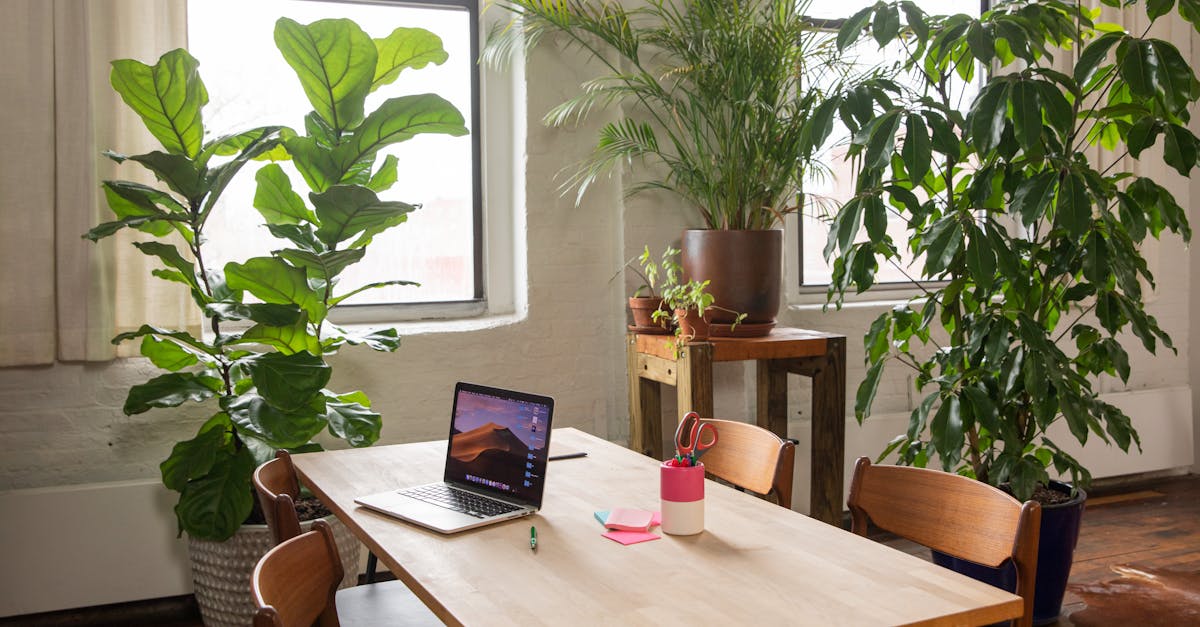 Casques audio écologiques : Quelles options choisir ?