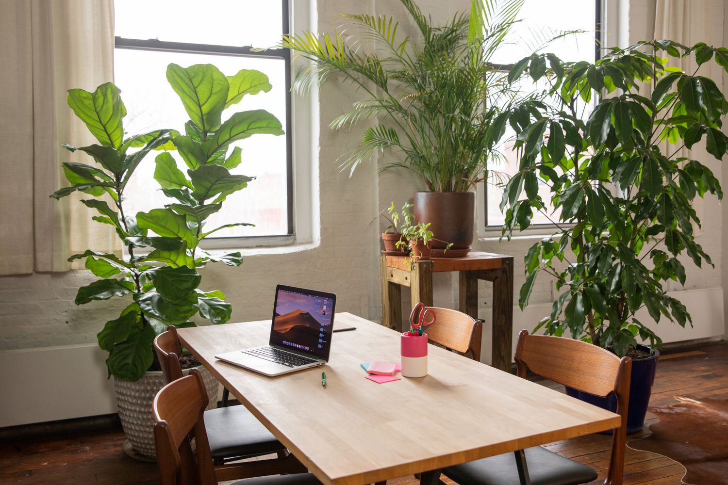 Intérieur clair et paisible avec des tons chauds et naturels