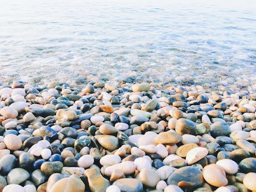 Free Wet stones on pebble shore of sea Stock Photo