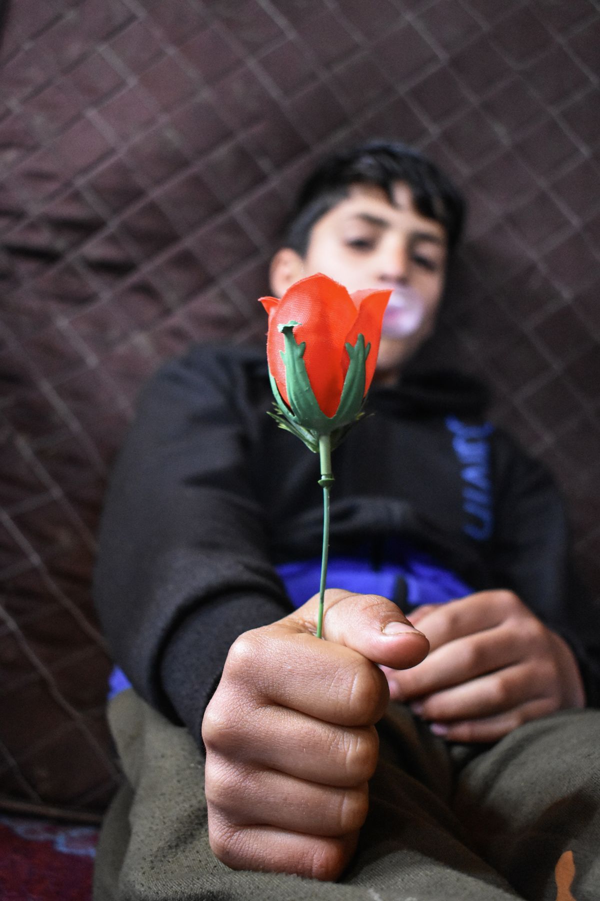 Luxury mobile showroom
