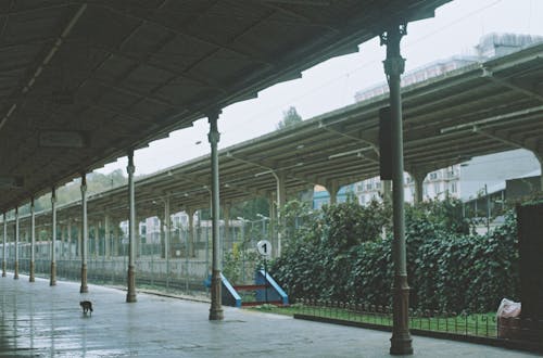 Platform Outdoors at Railway Station