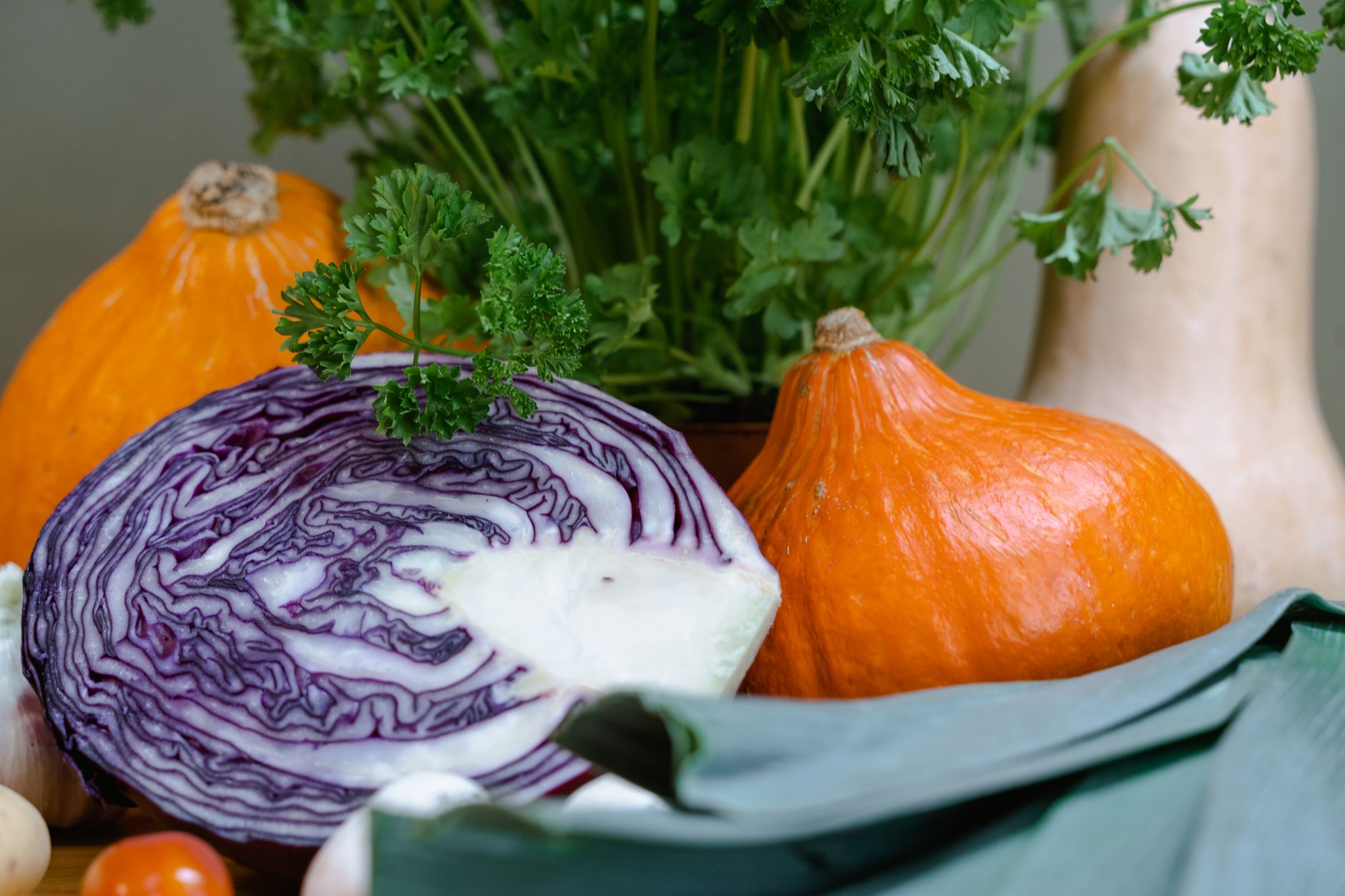 The Power of Polyphenols: How Plant Compounds Protect Your Health at the Cellular Level
