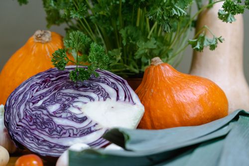 Free Colorful assortment of fresh vegetables including pumpkin, red cabbage, and parsley highlighting healthy eating. Stock Photo