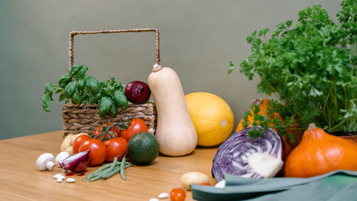 Les meilleures associations de plantes pour un potager écoresponsable - illustration