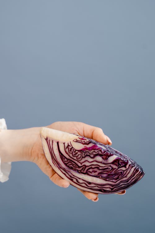 Free Close-up of a hand holding a fresh slice of red cabbage against a blue background. Stock Photo