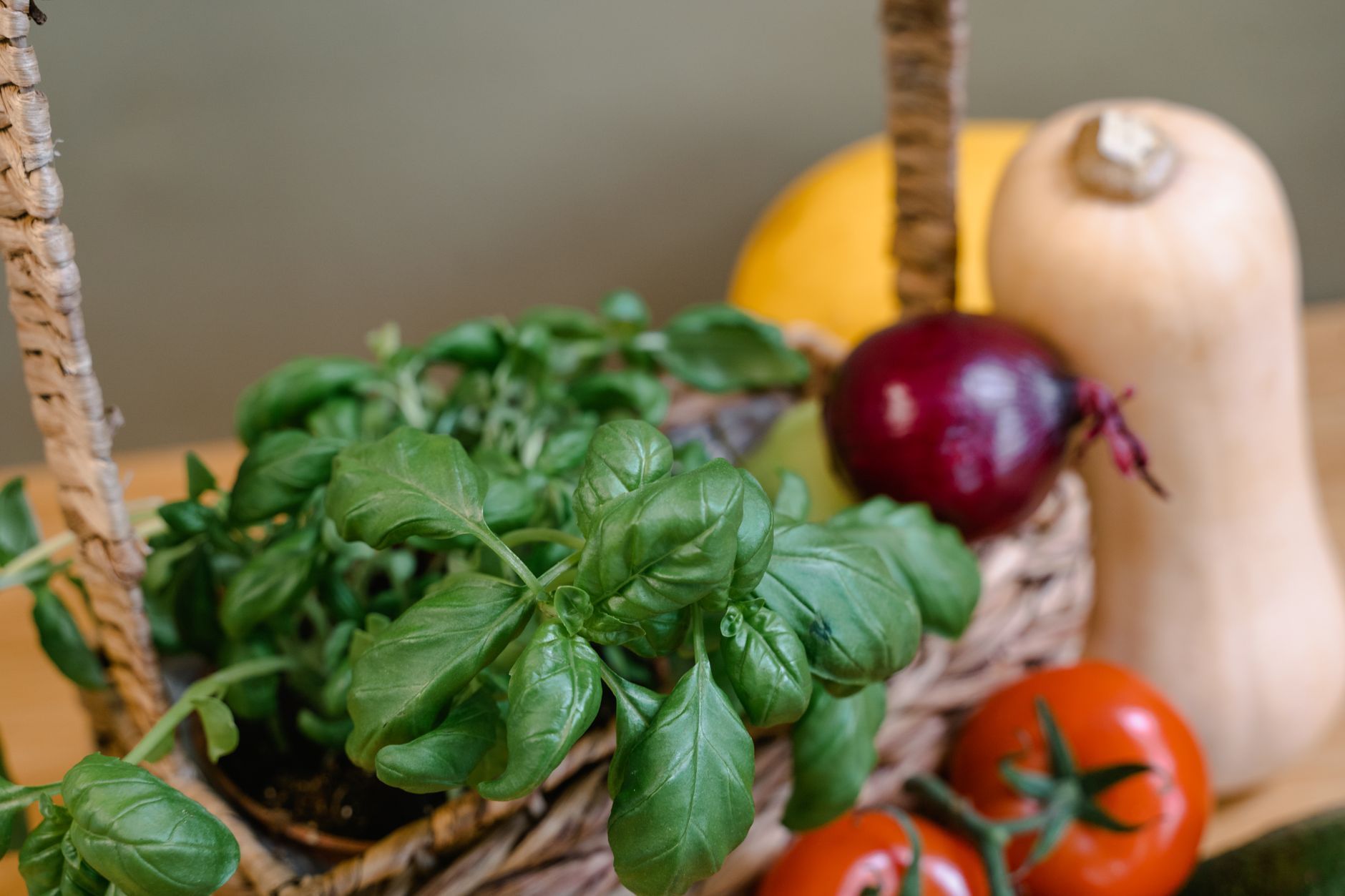 healthy tomato harvest in basket with beneficial companion herbs