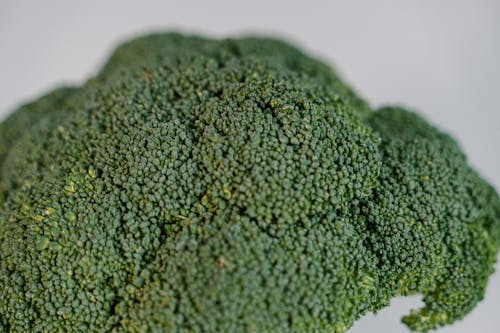 Free Close Up Shot of a Broccoli Stock Photo