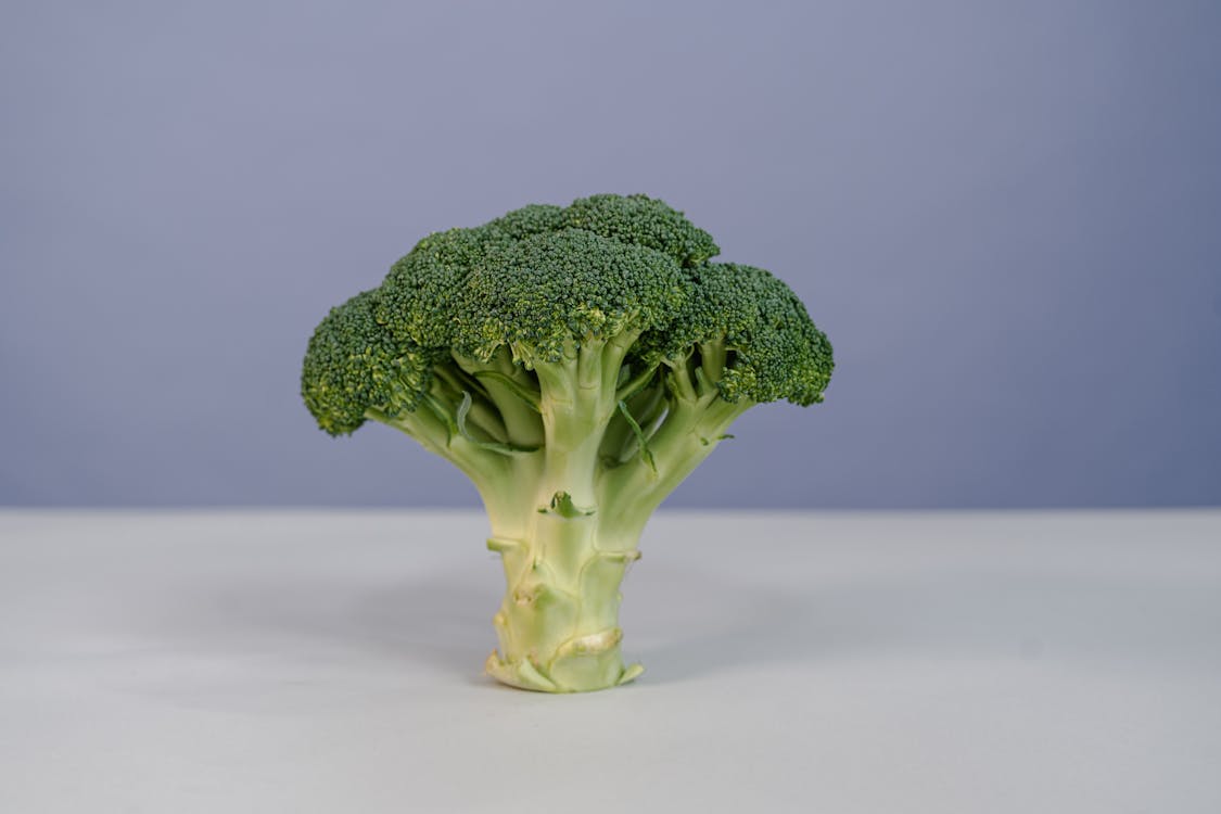 Fotobanka s bezplatnými fotkami na tému biely povrch, brokolica, výživný