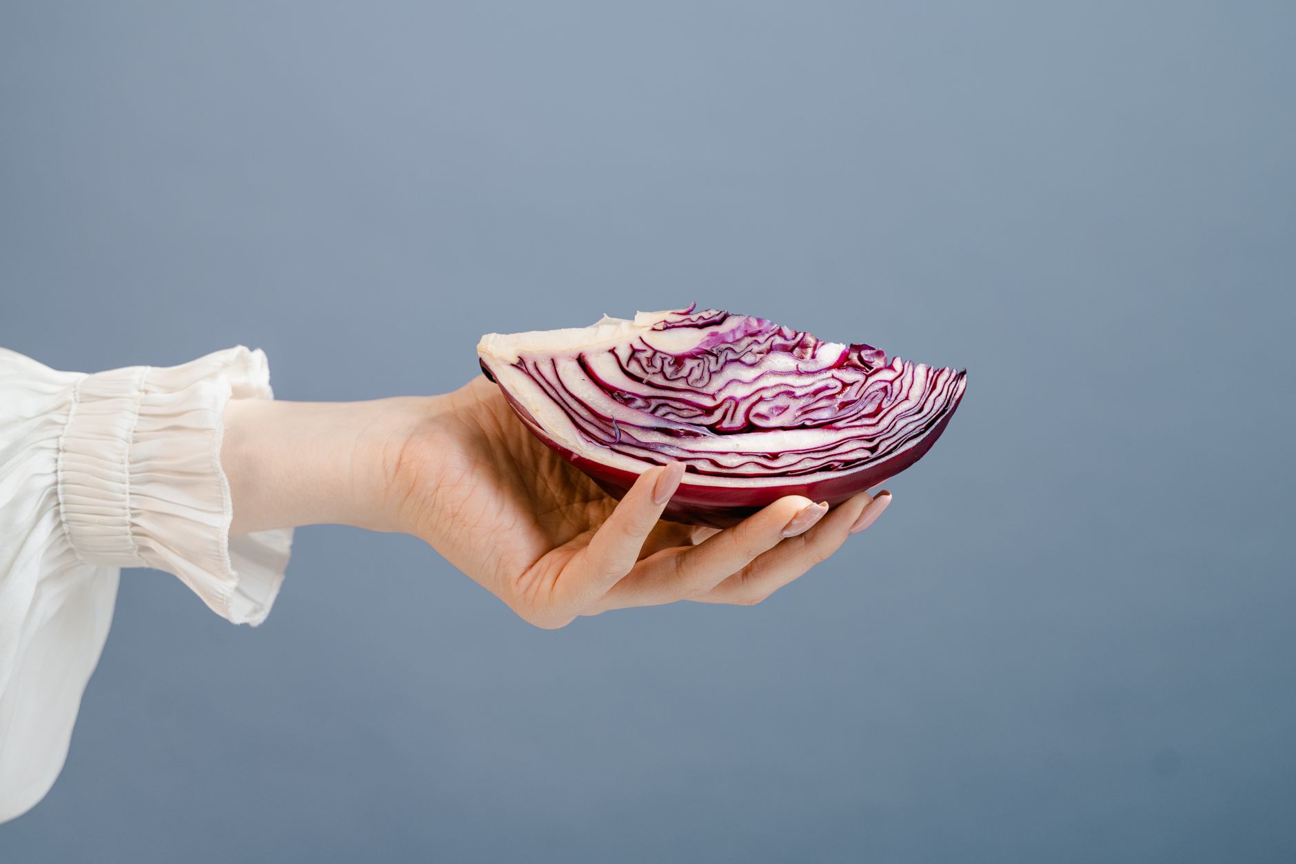 gut health foods to eat and avoid - A hand holds a fresh slice of red cabbage against a blue background, showcasing its vibra