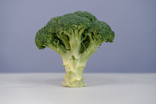 Close-up of a Green Broccoli