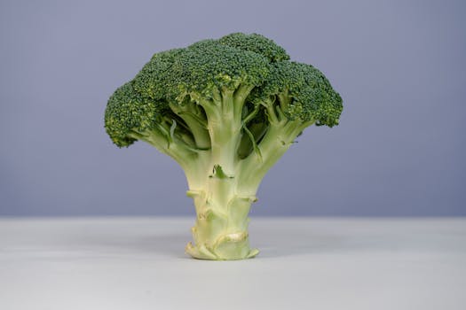 A fresh green broccoli head on a white surface, showcasing its natural beauty.