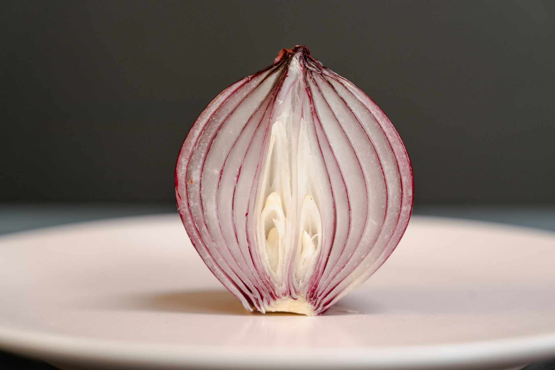 Sliced Onion on a Plate