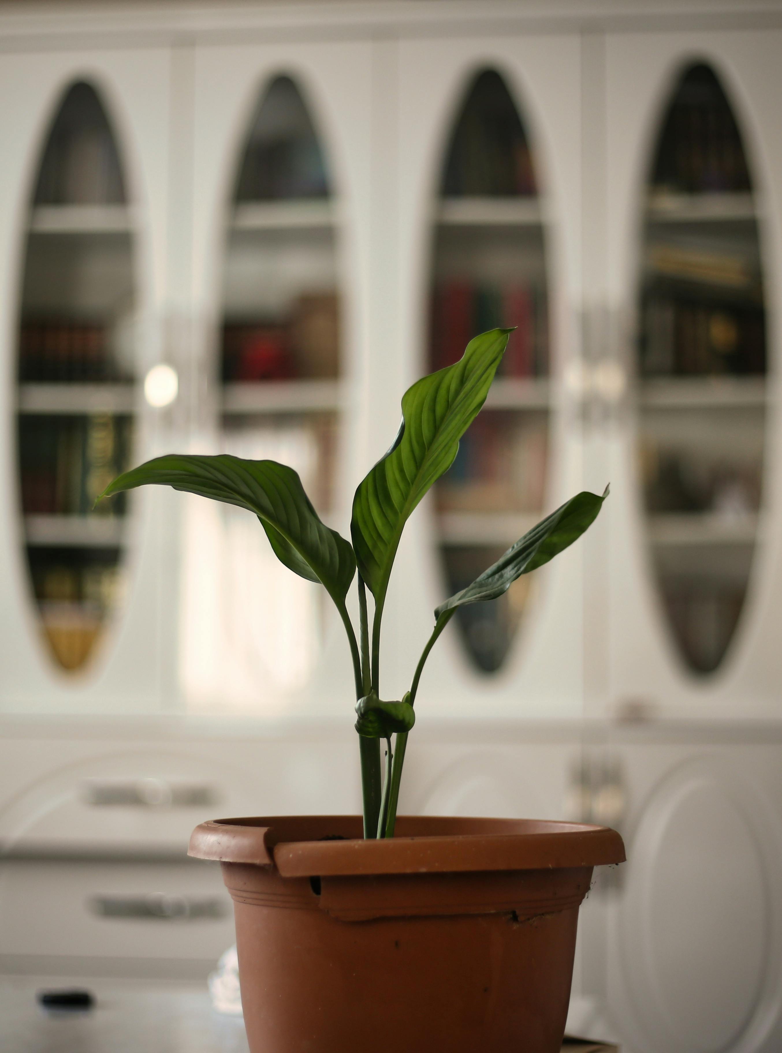 Cum repari o sobă de teracotă fisurată